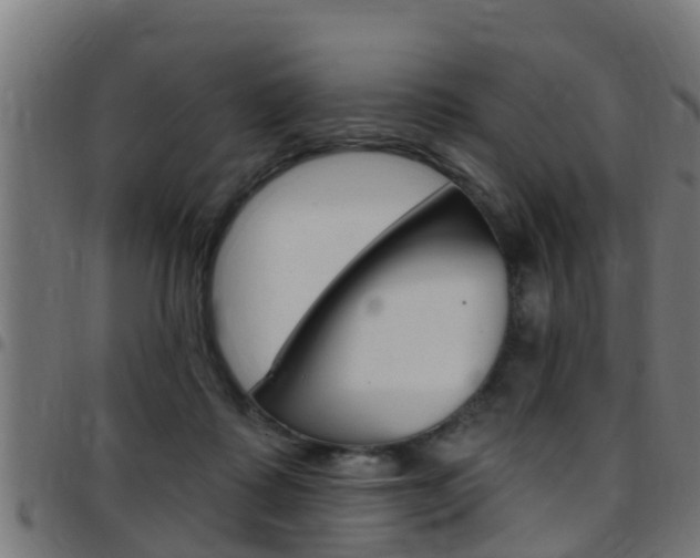 X0000097790315200803070941