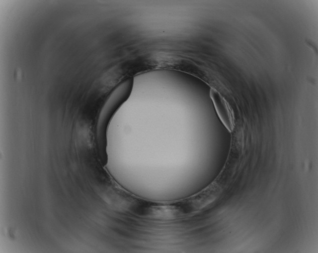 X0000097790316200803070941