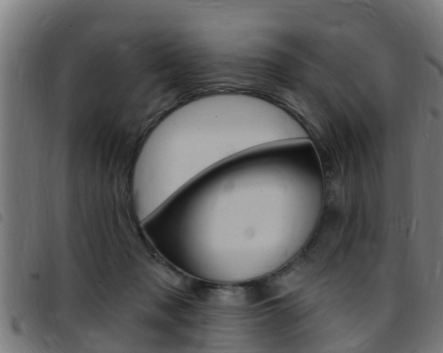 X0000097790317200803070941