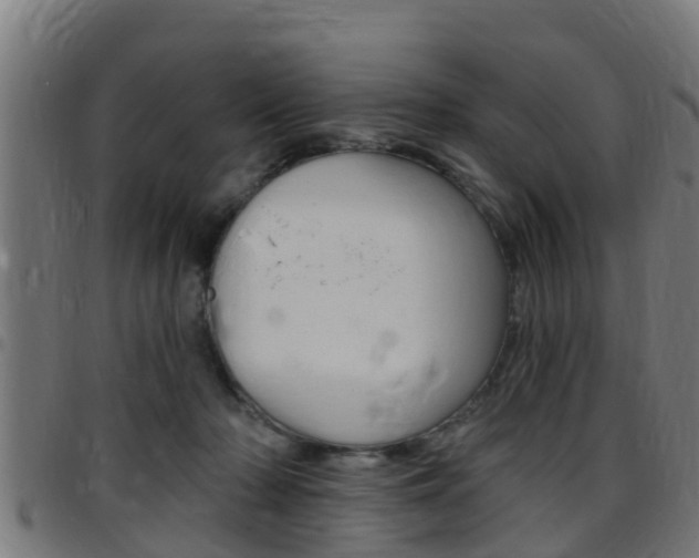 X0000097790318200803070941