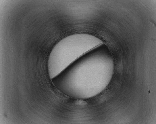 X0000097790319200803070941