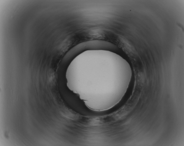 X0000097790320200803070941
