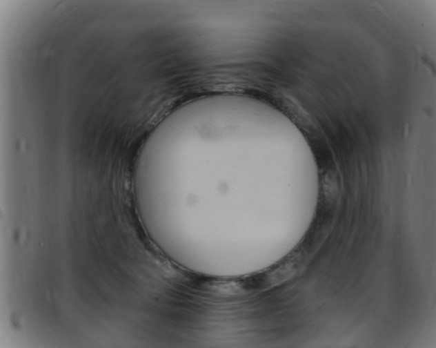 X0000097790322200803070941