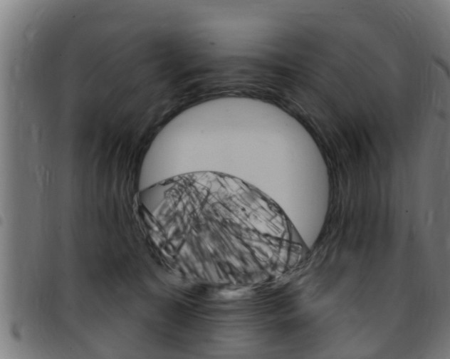 X0000097790323200803070941