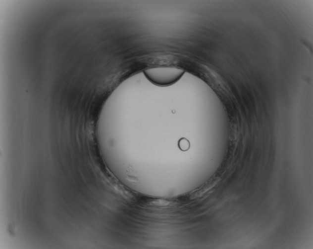 X0000097790326200803070941