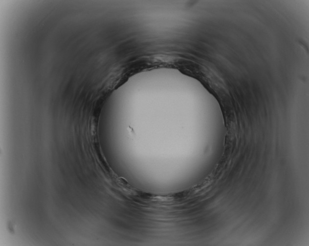 X0000097790328200803070941