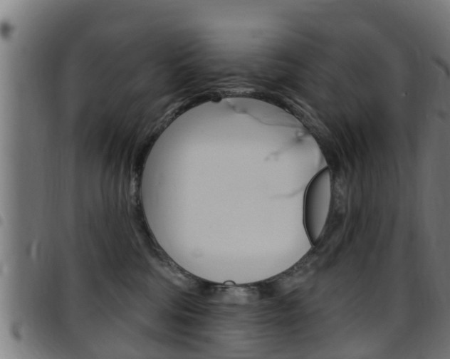 X0000097790330200803070941