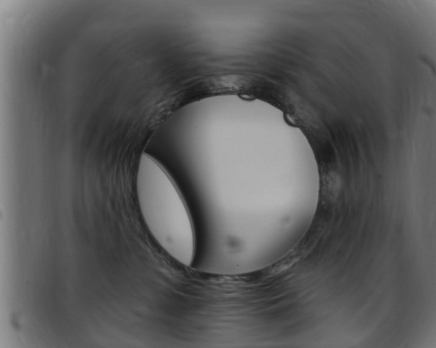 X0000097790331200803070941