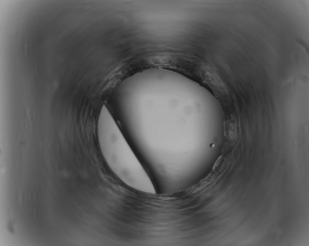 X0000097790332200803070941