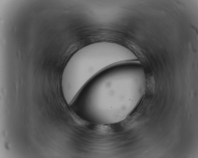 X0000097790333200803070941