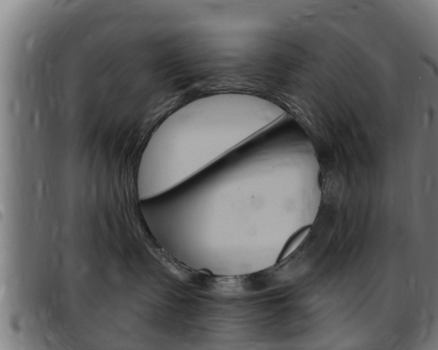 X0000097790335200803070941