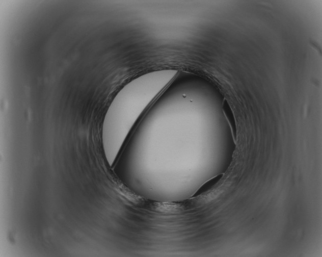 X0000097790336200803070941