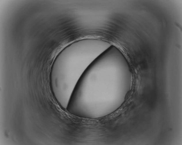X0000097790337200803070940
