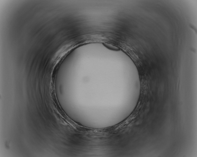 X0000097790338200803070940