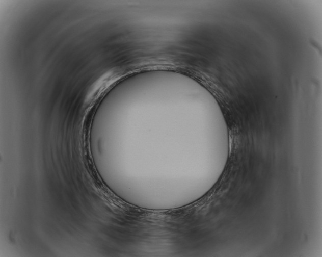 X0000097790339200803070940