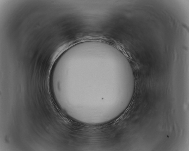 X0000097790340200803070940