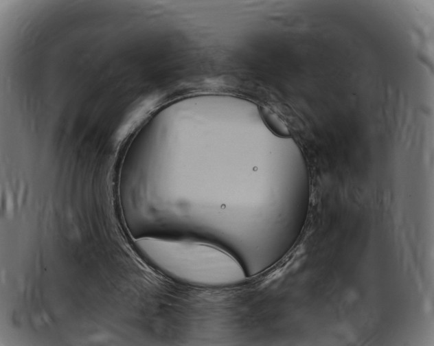 X0000097790341200803070940