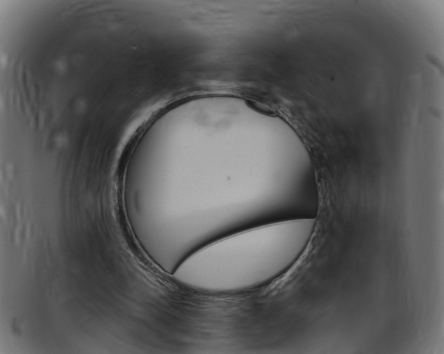 X0000097790342200803070940