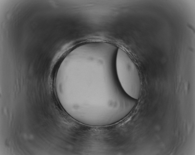X0000097790343200803070940