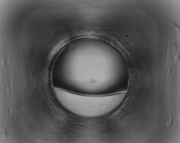 X0000097790344200803070940
