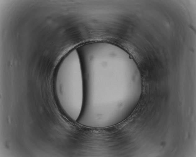 X0000097790346200803070940