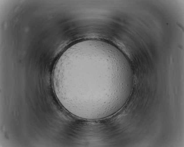 X0000097790347200803070940