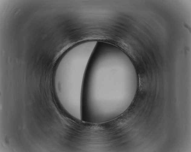 X0000097790348200803070940