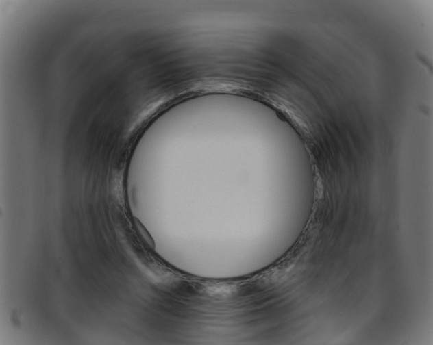 X0000097790352200803070940