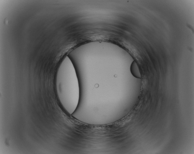 X0000097790353200803070940