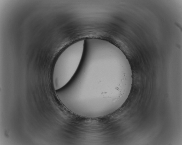 X0000097790354200803070940