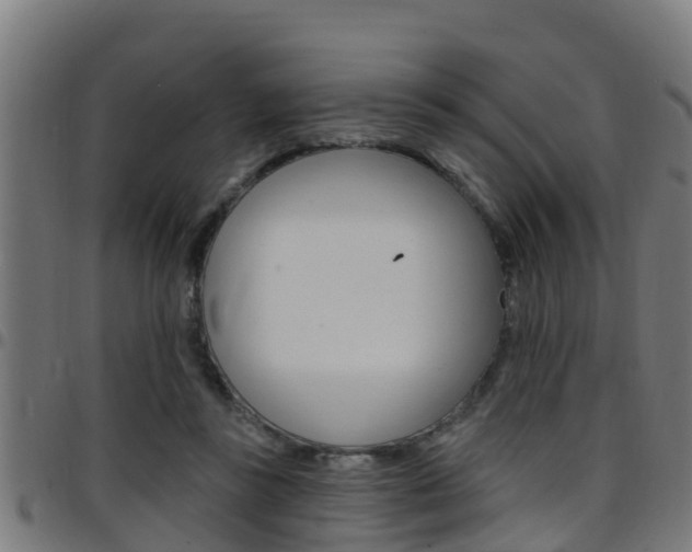 X0000097790355200803070940