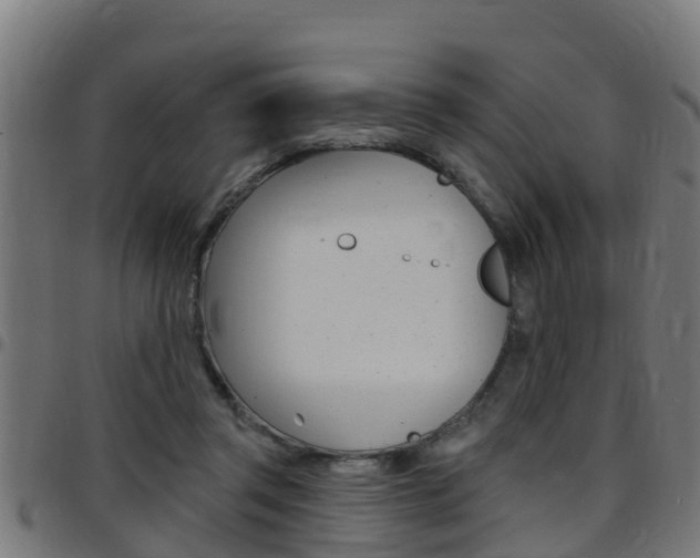 X0000097790357200803070940