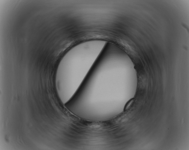 X0000097790358200803070940