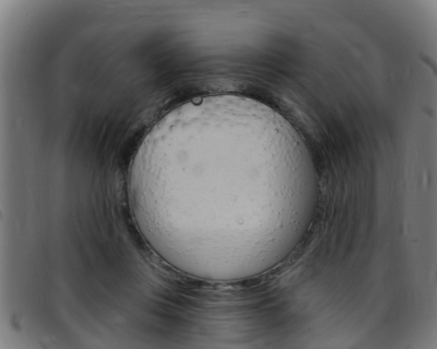 X0000097790359200803070940