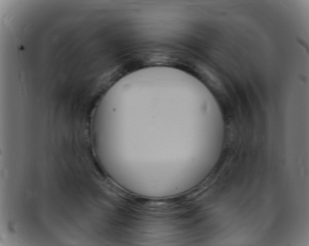 X0000097790361200803070940