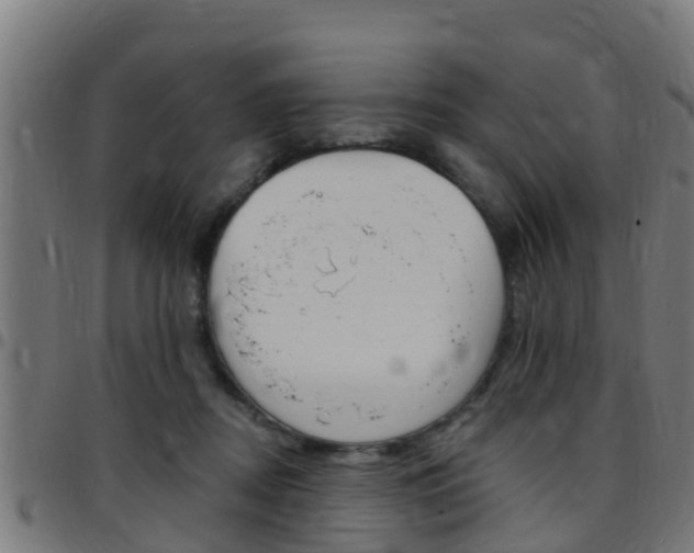 X0000097790362200803070940