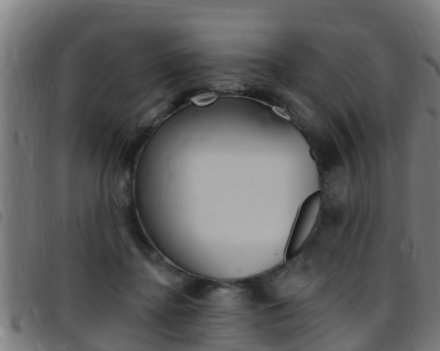 X0000097790364200803070940