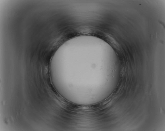 X0000097790365200803070940