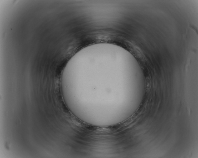 X0000097790369200803070940