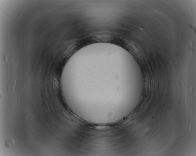 X0000097790371200803070940