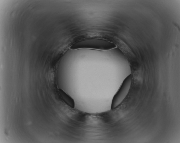 X0000097790372200803070940