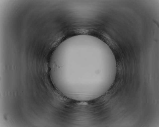 X0000097790374200803070941