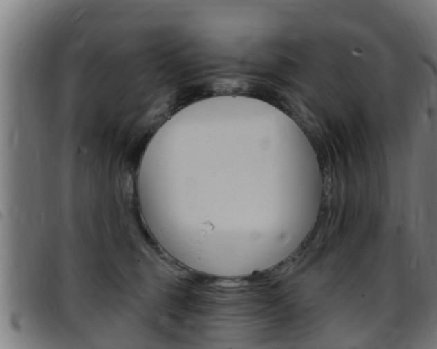 X0000097790375200803070941