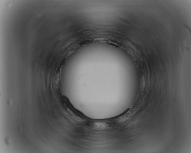 X0000097790376200803070941