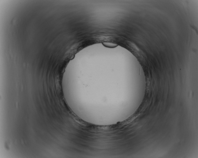 X0000097790377200803070941