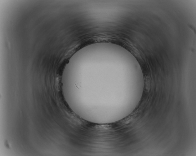 X0000097790378200803070941