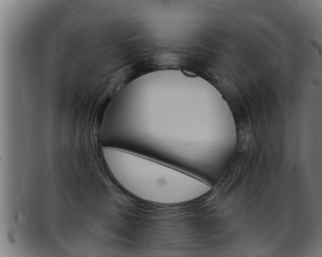 X0000097790379200803070941
