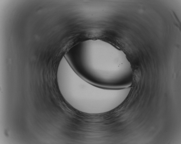 X0000097790380200803070941