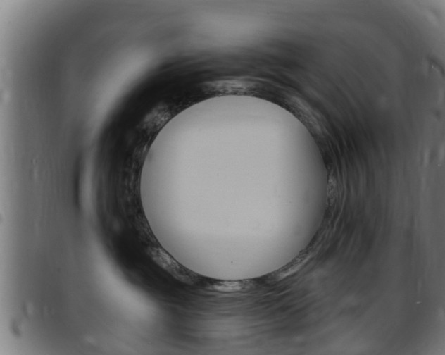 X0000097790381200803070941