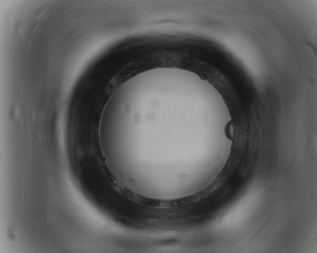 X0000097790383200803070941